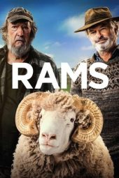 Nonton film Rams (2020) Nonton film Rams (2020)