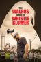 Nonton film The Walrus and the Whistleblower (2020) Nonton film The Walrus and the Whistleblower (2020)