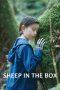 Nonton film Sheep in the Box (2026) Nonton film Sheep in the Box (2026)